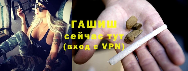 гашик Алексин