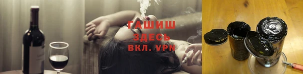 гашик Алексин