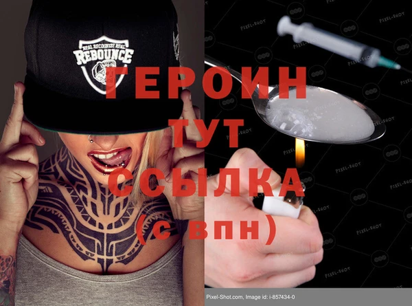 гашик Алексин