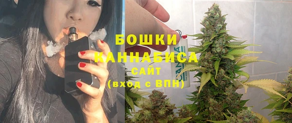 индика Протвино