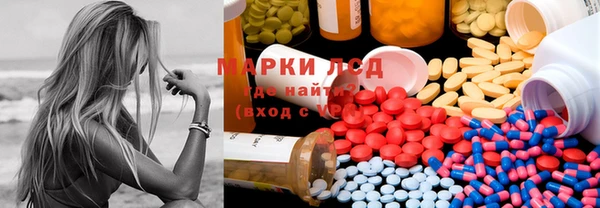 гашик Алексин