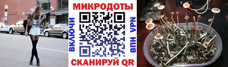 Галлюциногенные грибы мицелий  где купить наркоту  Кораблино 